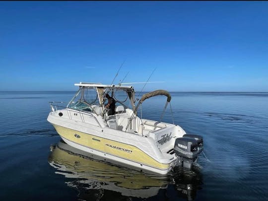 Excellent bateau de croisière ou de haute mer