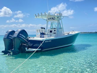 Sea adventures with RiG Charters 