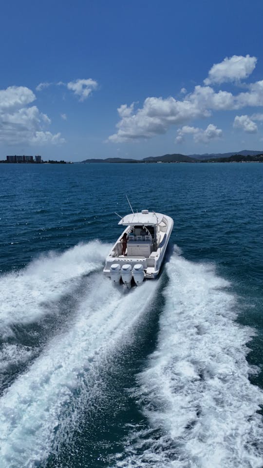 Private Boston Whaler Outrage 37' for up to 10 people!!