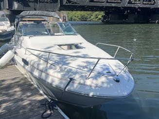 Sea Ray Cuddy Cabin Boat for Rent on Lake Michigan!