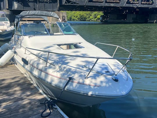 Sea Ray Cuddy Cabin Boat for Rent on Lake Michigan!
