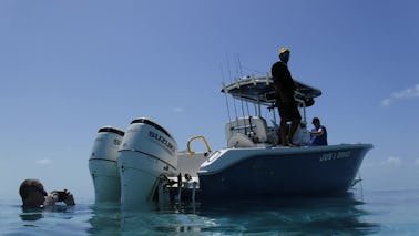 27ft Hybrid Fish Cruiser Sea Chaser