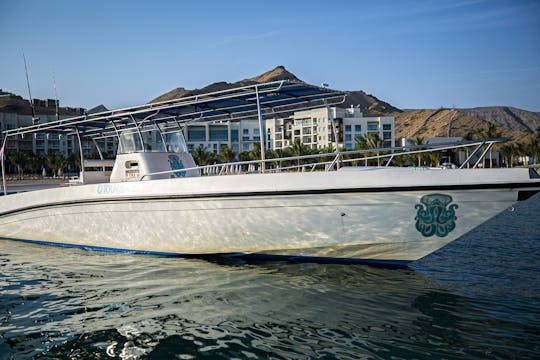 Exclusive Dolphin Watching on Silvercraft 36CC in Muscat, Oman