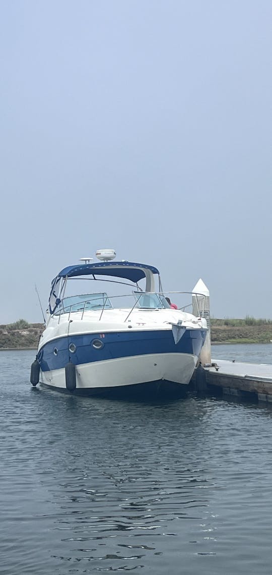 ** Disfrute de Newport Beach en barco: ¡su mejor día en el agua! **