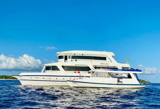 Bateau de croisière abordable : croisières privées pour le surf, la plongée et des voyages personnalisés