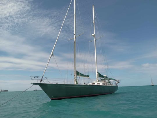 Naviguez sur les sciences océaniques, faites des excursions pédagogiques à la voile, réservez une cabine ou le bateau.