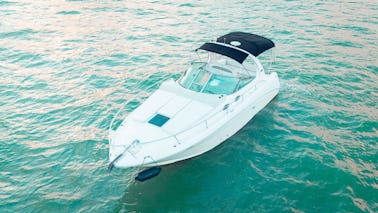 Rent This Lux Sea Ray 33’ Miami Experience