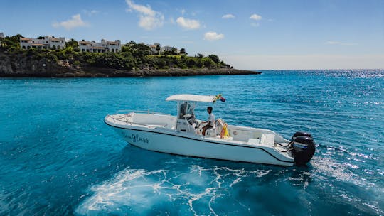 Rent SeaGlass a 28' Mako Private Boat to Explore the Beautiful St Maarten!