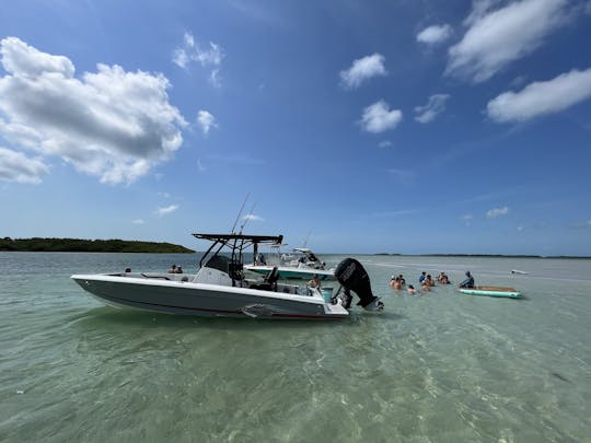 Sandbar Charter and Island Tour