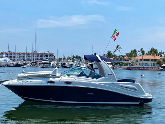 Lovely SeaRay 26 Motor Yacht in Puerto Vallarta