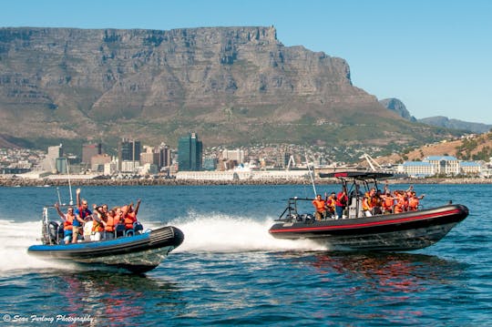 Spectre: RIB for Private Charter hire Cape Town