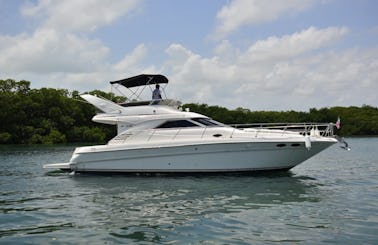 Amazing Flybridge in Cancun and Isla Mujeres
