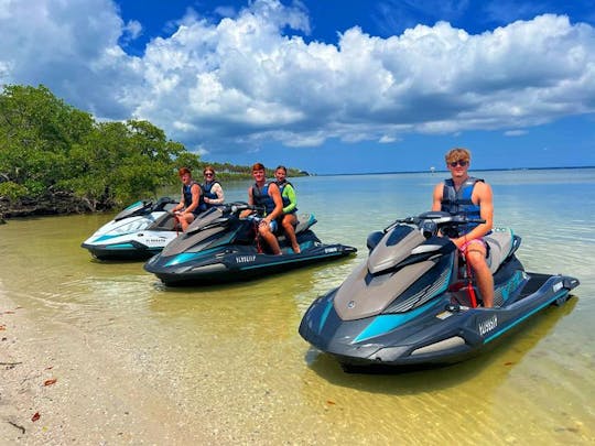 2023 Yamaha VX Jet Skis (4 Skis Available) in Tampa FL