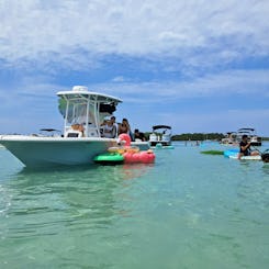Private Crab Island and Boat Tours: 4 hour, 6 hour, 8 hour trips available