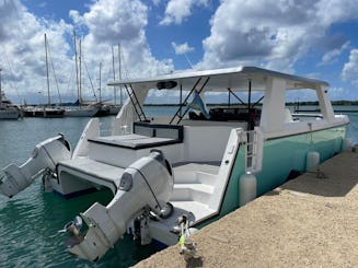 Private 45ft Catamaran for Beach cruisin, Private snorkeling and Sunset Trip