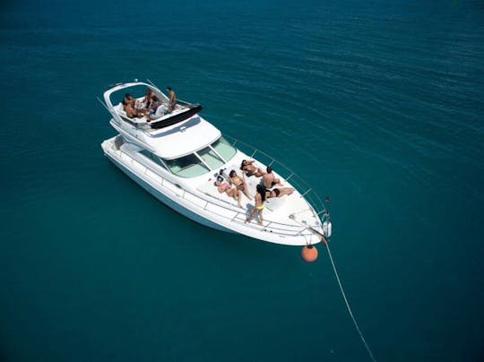 SEA RAY de 45 pies para un día en el mar en Cancún.