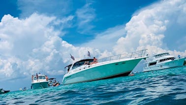 Destin's Premier Luxury Yachting Experience! Sea Ray 500 Sundancer for Charter!