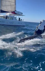 Catamarán de vela de lujo Lagoon 450 en Oceanside