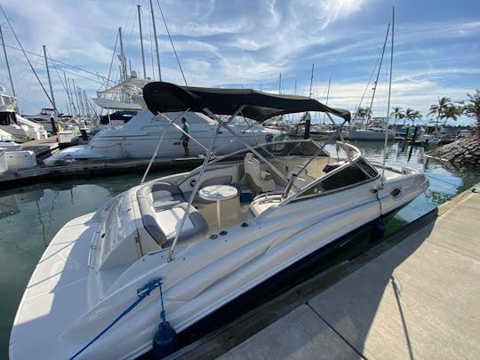 Yate a motor Sea Ray Sundeck de 27 pies - Explore la Bahía de Banderas