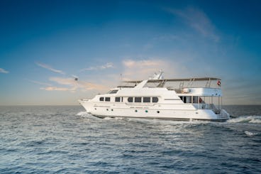 Dubai Sightseeing Tours - Superyacht 1.5 hr Trip with Canape Drinks Book tickets