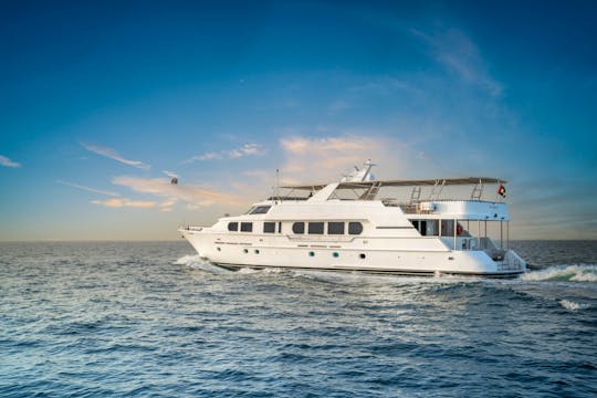 Dubai Sightseeing Tours - Superyacht 1.5 hr Trip with Canape Drinks Book tickets