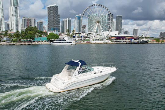 🚨 Enjoy 1 Free Hour 🚨 - Sea Ray 36ft