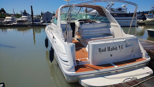 Searay Sundancer de 33 pies, aventuras y fiestas en barco costero