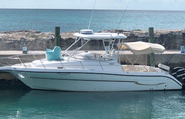 Experience The Bahamas On The Water ON OUR 32FT CENTURY!!