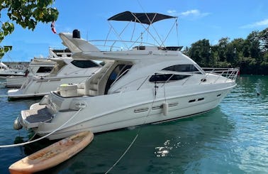 Visit Saona or Catalina Island in this 43 feet Meridian yacht 