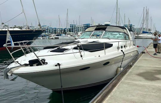 37ft Luxury  Sea Ray  Motor Yacht