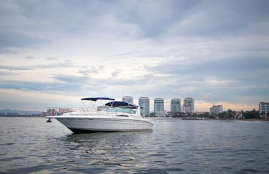 Sea Ray 400 Exclusive Yacht