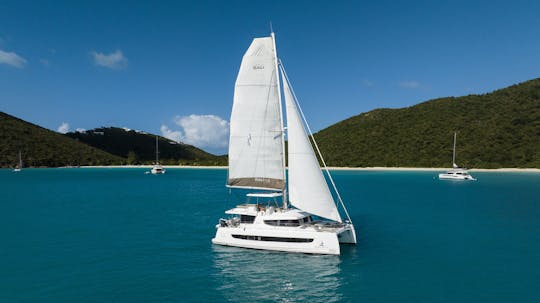 Catamarán de vela privado de lujo con todo incluido de 49 pies con capitán y chef