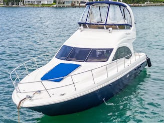 New 48ft SeaRay Munch Motor Yacht in Miami Beach!