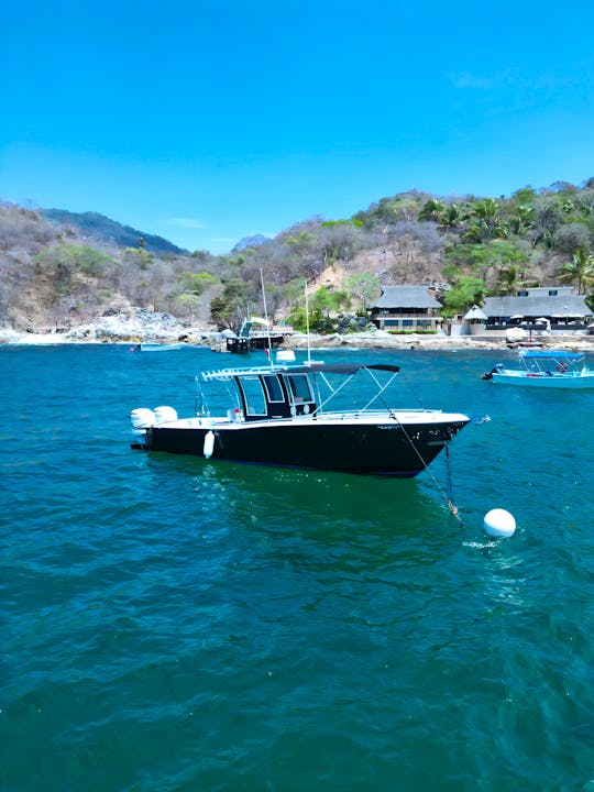 Luxury Experience with a 33ft Tender  Boat | Nuevo Vallarta (Includes food)