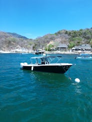 Luxury Experience with a 33ft Tender  Boat | Nuevo Vallarta