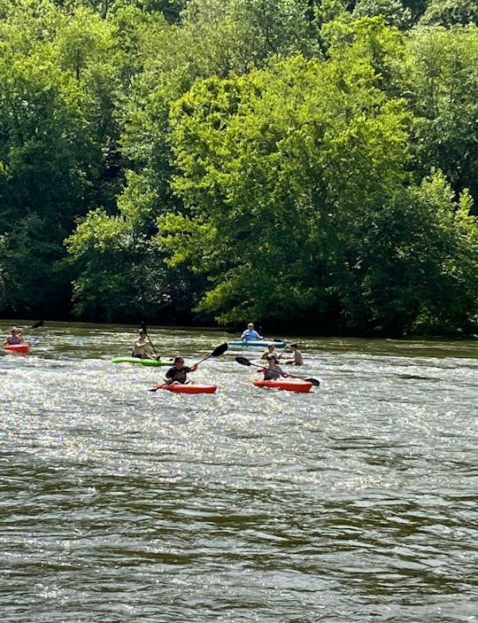 Explore the scenic Toccoa River through north Georgia by kayak