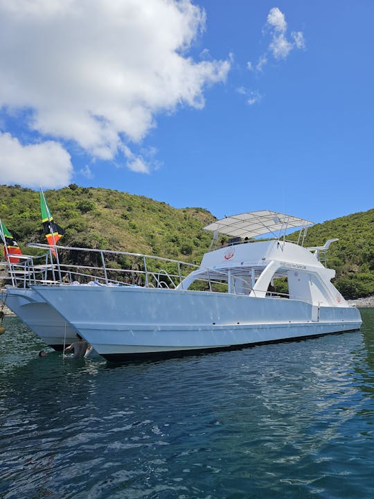 Mergulho com snorkel em Twin Island Paradise 