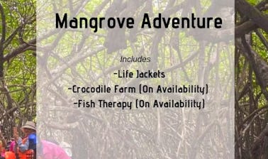 Mangrove Adventure in Bentota