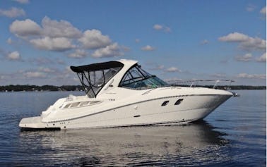 Sea Ray 33ft Cruiser in Toronto