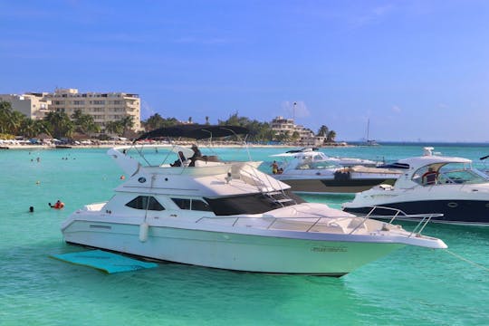 Private Yacht 46ft Cancun up to 15 pax