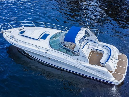 50' Sea-Ray Sundancer à Miami (heure gratuite)