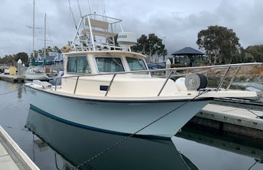 Bay/Islands/Offshore/Party on Parker 2010 Sport
