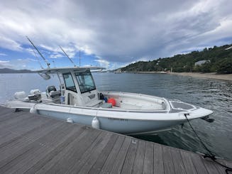 32' Boston Whaler - Passeio de barco em Rincon e passeio ao pôr do sol