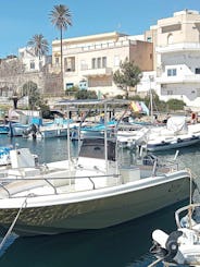 Excursions de pêche au départ de Santa Maria di Leuca Fisherman 570