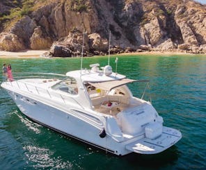 Superbe Searay de 55 pieds à Cabo San Lucas, au Mexique !