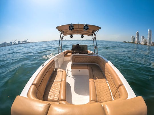 NEW! 29' SPEED BOAT RENTAL| UP TO 8 PEOPLE | ISLAND CRUISES | NIGHT TIME CRUISE