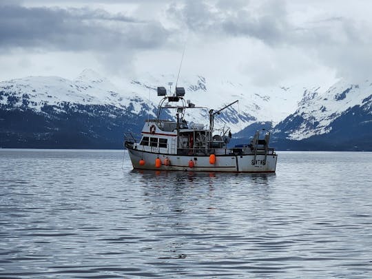 🚤 L'aventure ultime en Alaska : pêche, chasse et exploration ! 🎣🦌🗺️