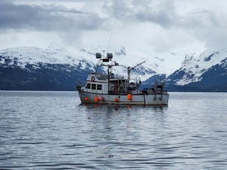 🚤 Aventura definitiva no Alasca: pescar, caçar e explorar! 🎣🦌🗺️