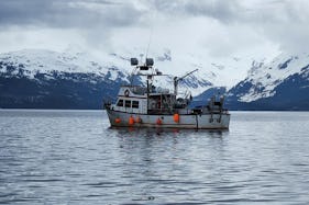 🚤 Ultimate Alaskan Adventure - Fishing, Hunting, and Exploring! 🎣🦌🗺️