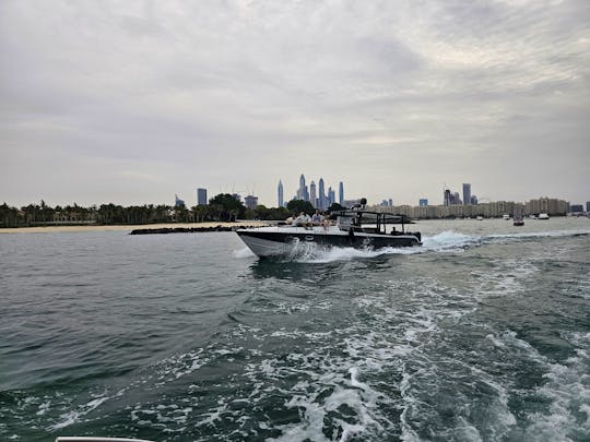 45ft New 2023 American Mercury with free Fishing in Dubai Marina